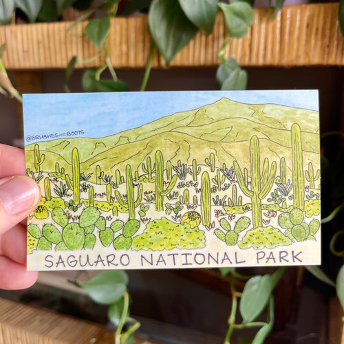 Saguaro National Park Vinyl Sticker