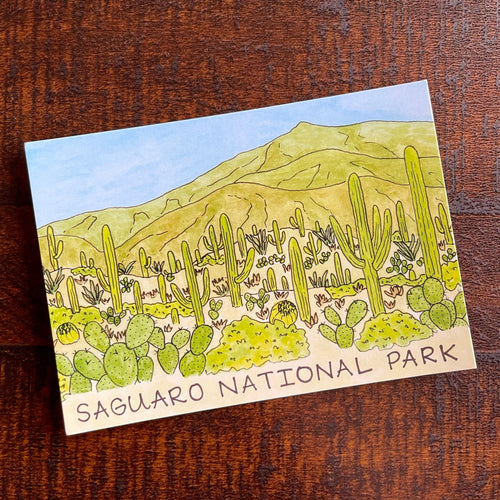 Saguaro National Park Postcard