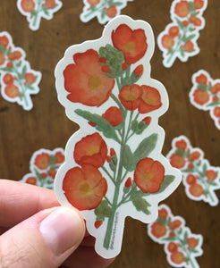 Desert Globe Mallow Vinyl Sticker