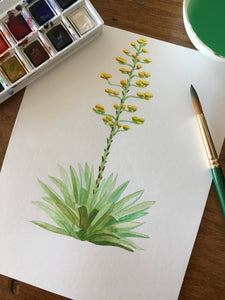 Agave Bloom Greeting Card